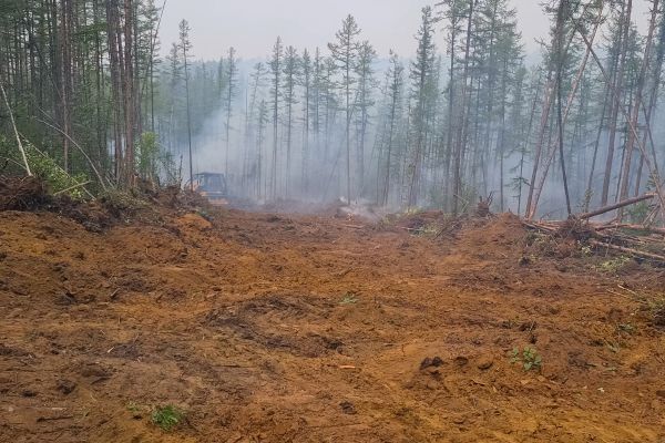 Cost of Hill Clearing in Bowling Green